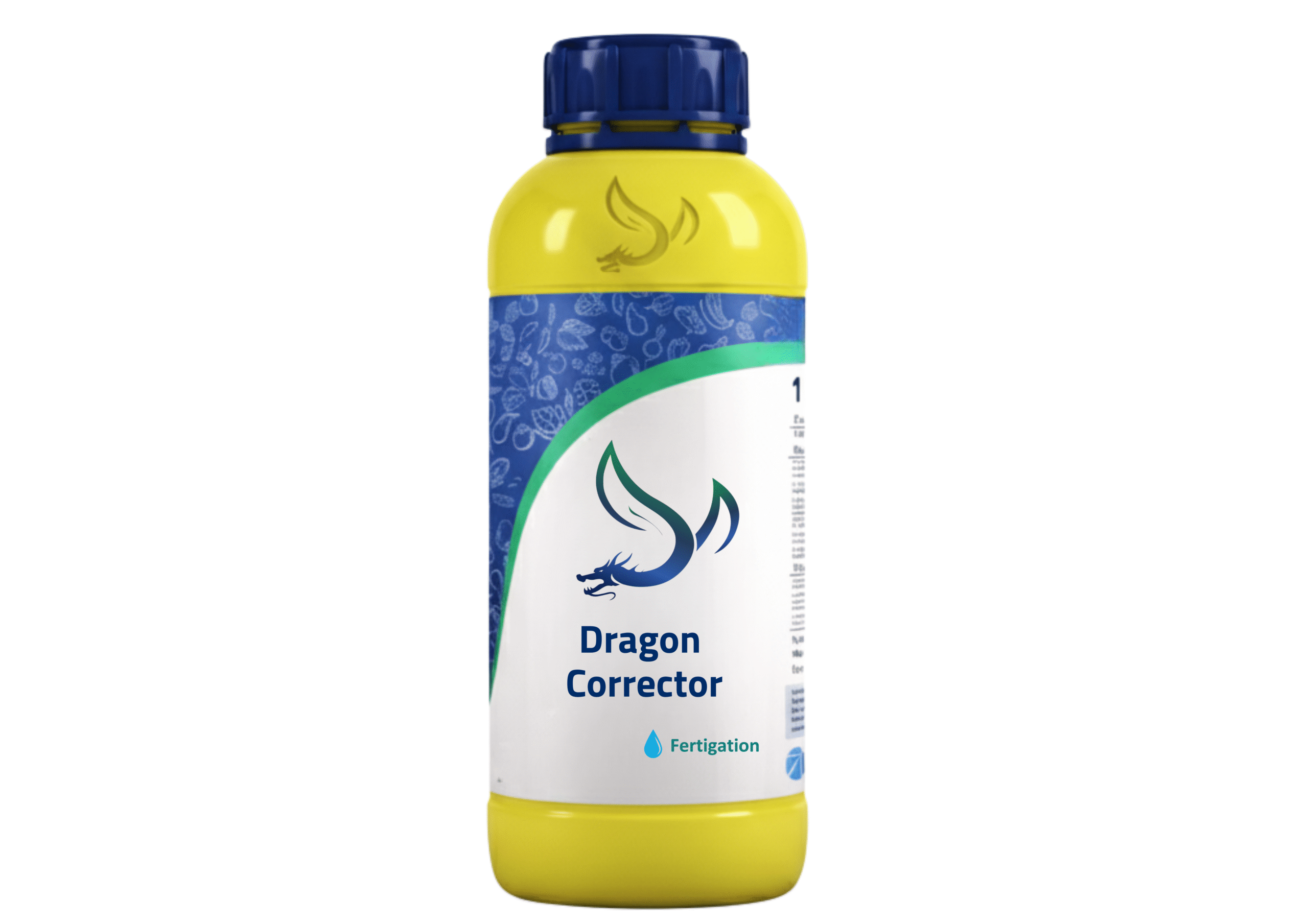 Dragon Corrector