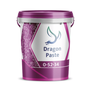 Dragon Paste High PK – high phosphorus and potassium paste fertilizer for flowering, rooting, and fruit quality – by Dragon Ferti Jordan