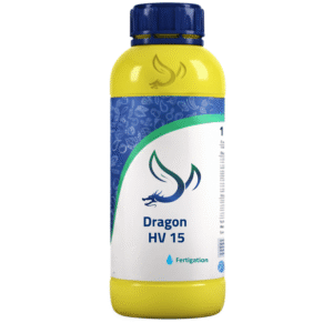 Dragon HV15
