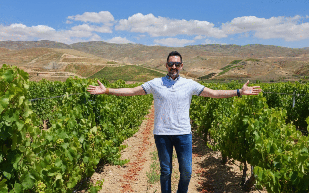 Ensayo de campo en uvas: Dragon Paste 10-50-20 + Dragon Thio