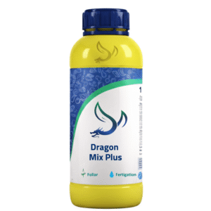 Dragon Mix Plus