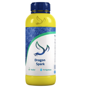 Dragon Spark