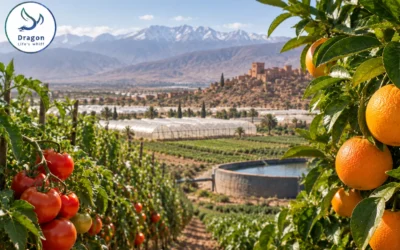 Specialized NPK fertilizers for Morocco: what a phosphate superpower still imports