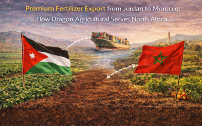 Exportation d’engrais de qualité premium de la Jordanie vers le Maroc : comment Dragon Agricultural sert l’agriculture nord-africaine