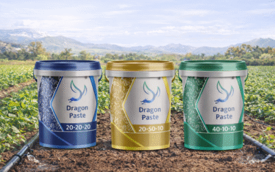 Meilleures pratiques de fertigation : comment intégrer les engrais solubles avec l’irrigation goutte-à-goutte pour des performances maximales des cultures