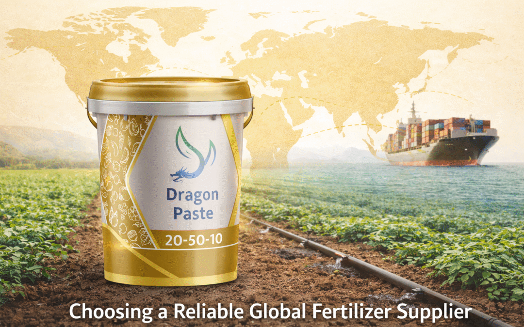 Comment choisir le bon fournisseur d’engrais pour votre entreprise d’importation : un guide d’évaluation en 8 points