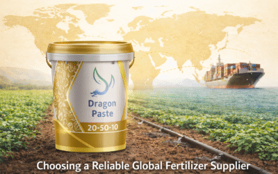Comment choisir le bon fournisseur d’engrais pour votre entreprise d’importation : un guide d’évaluation en 8 points
