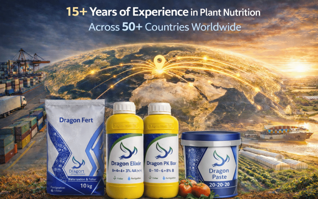 Fabricant jordanien d’engrais : Dragon Ferti - un fournisseur mondial d’engrais de spécialité et NPK