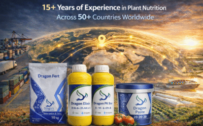 Fabricant jordanien d’engrais : Dragon Ferti - un fournisseur mondial d’engrais de spécialité et NPK