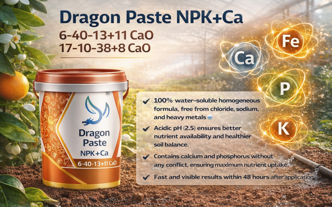 La science derrière la technologie des engrais NPK en pâte : comment Dragon Agricultural a réinventé la nutrition végétale