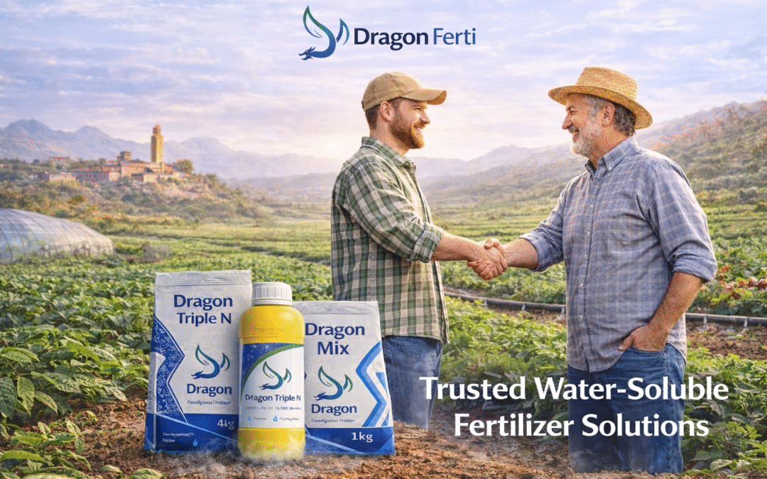 Solutions d’engrais hydrosolubles : pourquoi Dragon Agricultural est l’engrais soluble exportateur de confiance des agriculteurs
