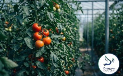 How to Read a Fertilizer Label: A Buyer’s Guide to NPK, Chelates, and Purity Claims
