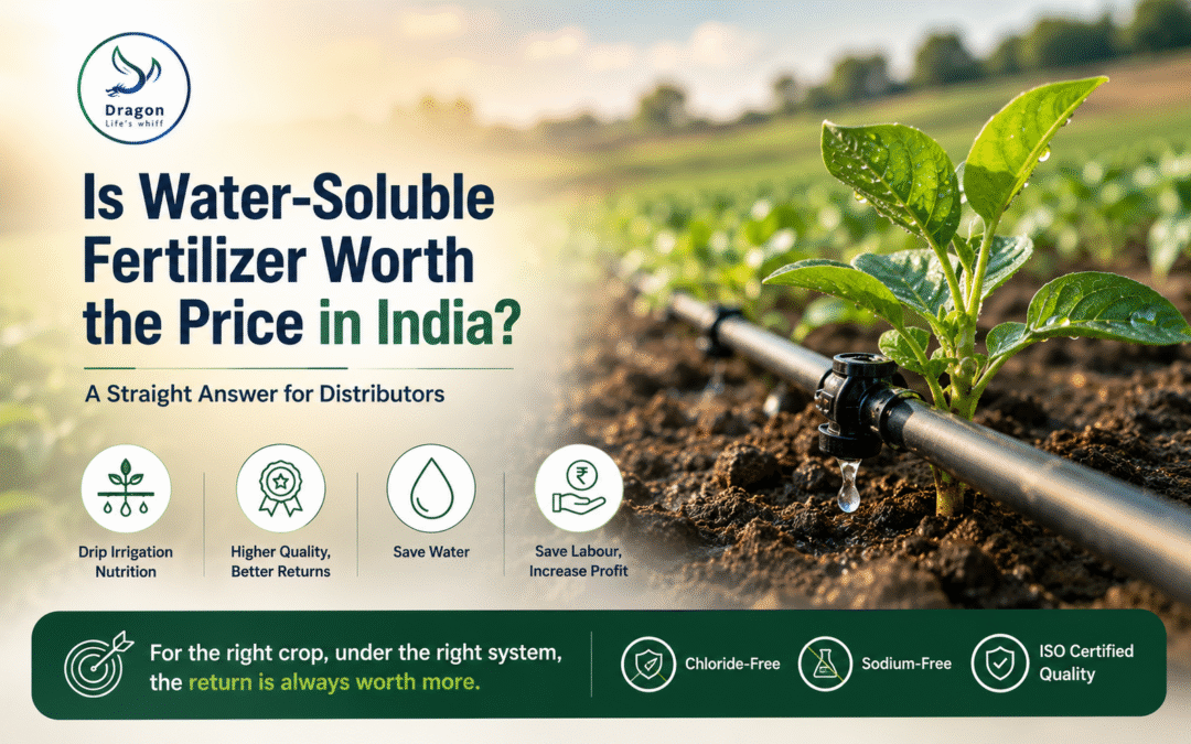 Is Water-Soluble Fertilizer Worth the Price in India? A Straight Answer for Distributors