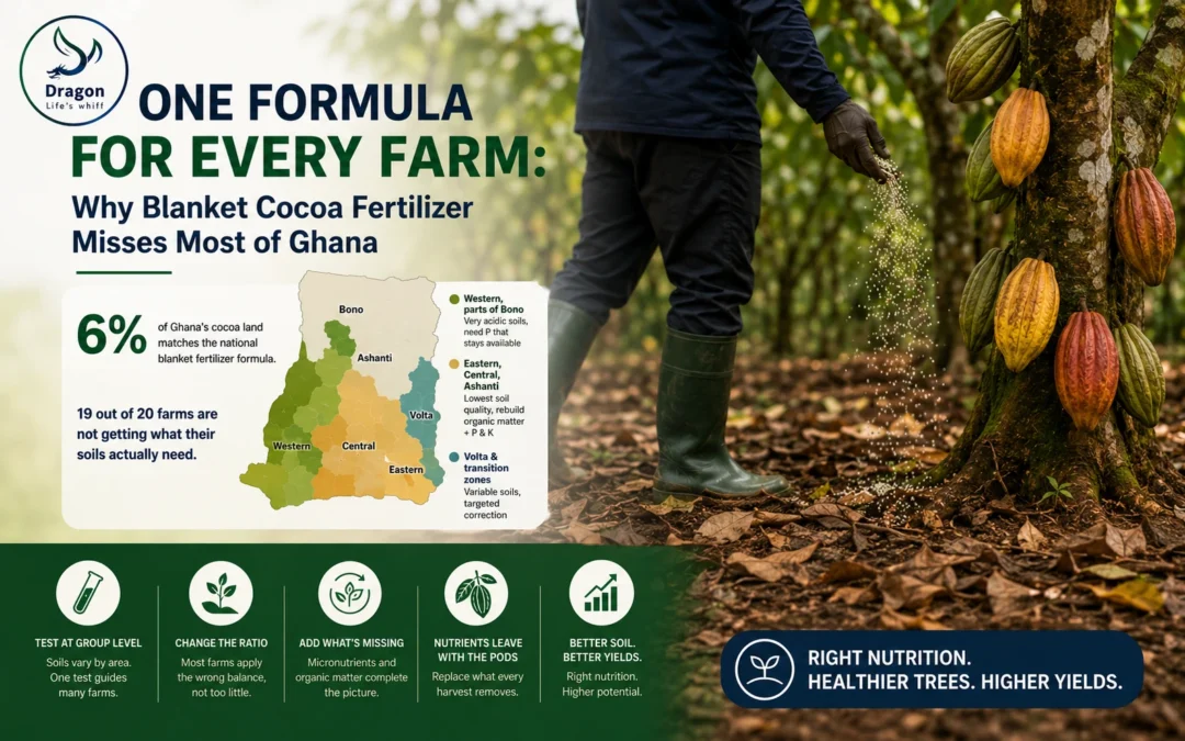 One Formula for Every Farm: Why Blanket Cocoa Fertilizer Misses Most of Ghana