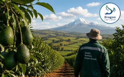Dry Matter and Export Grade: The Nutrition Behind Kenyan Avocado Compliance