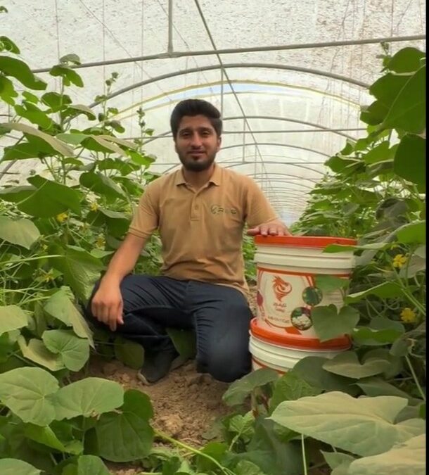Real Results From the Field: Greenhouse Cucumber Trial in Kurdistan, Iraq 🌱
