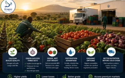 Before You Build a Cold Room: Vegetable Nutrition for Tanzania’s Horticulture Boom