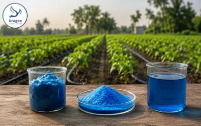 Paste, powder or liquid: choosing a water-soluble format