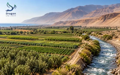Salinity and boron in northern Chile: when the water is the problem