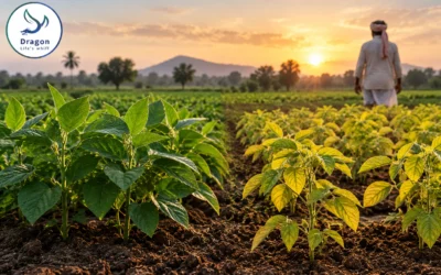The nutrient India stopped applying by accident